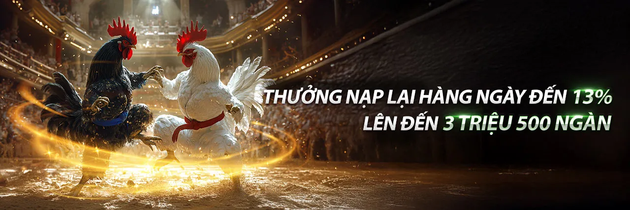 Đá Gà Trực Tuyến SC885