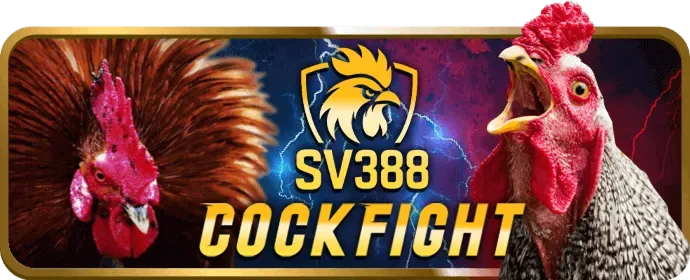 Quyền và nghĩa vụ của người chơi tại sc885